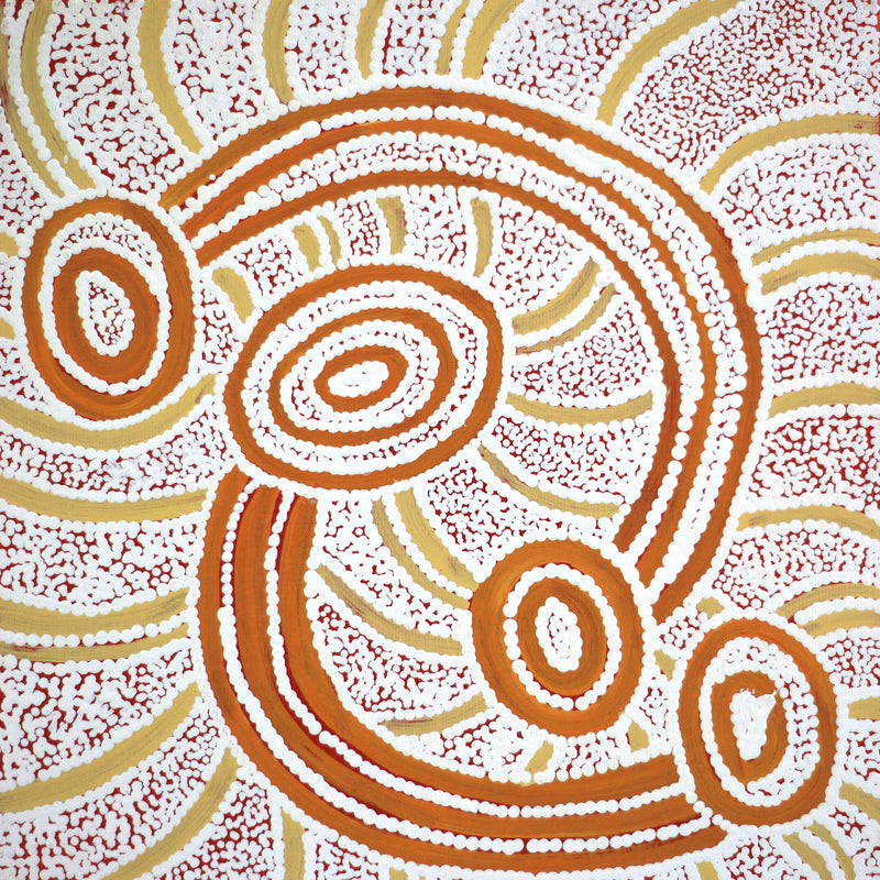 Aboriginal Artwork by Judith Nungarrayi Martin, Janganpa Jukurrpa (Brush-tail Possum Dreaming)- Mawurrji, 30x30cm