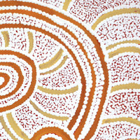 Aboriginal Artwork by Judith Nungarrayi Martin, Janganpa Jukurrpa (Brush-tail Possum Dreaming)- Mawurrji, 30x30cm