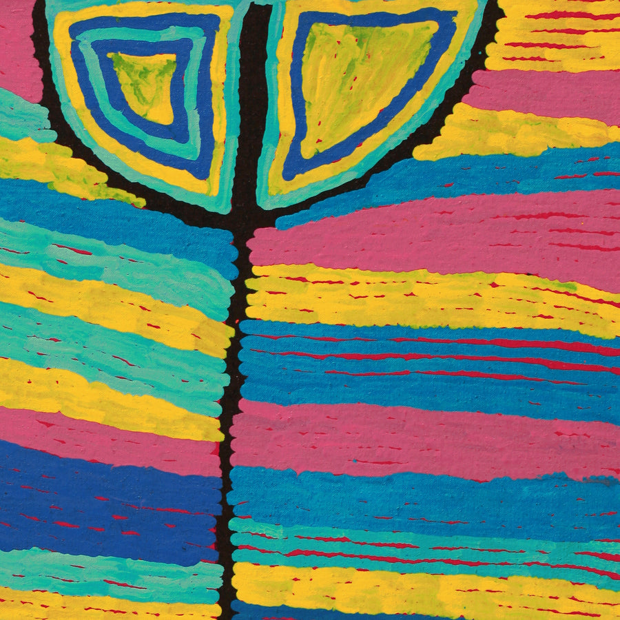 Aboriginal Artwork by Judy Napangardi Watson, Kurrkara Jukurrpa (Desert Oak Dreaming) - Mina Mina, 61x46cm