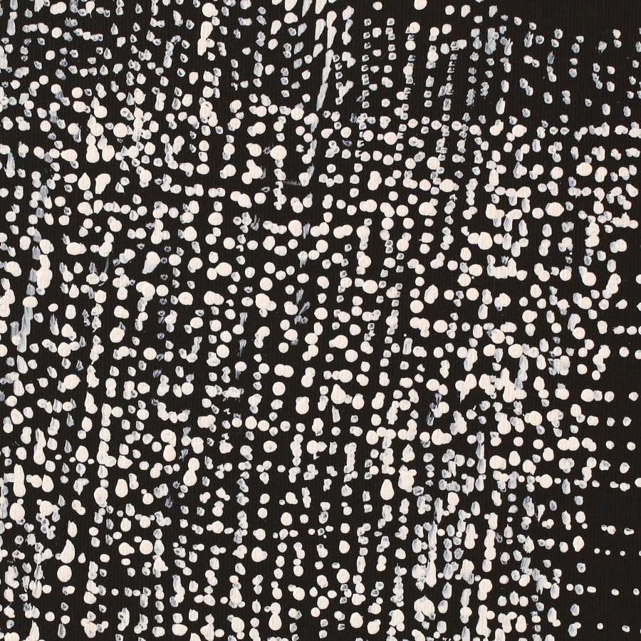 Aboriginal Artwork by Julie Nangala Robertson, Mina Mina Jukurrpa (Mina Mina Dreaming) - Ngalyipi, 30x30cm