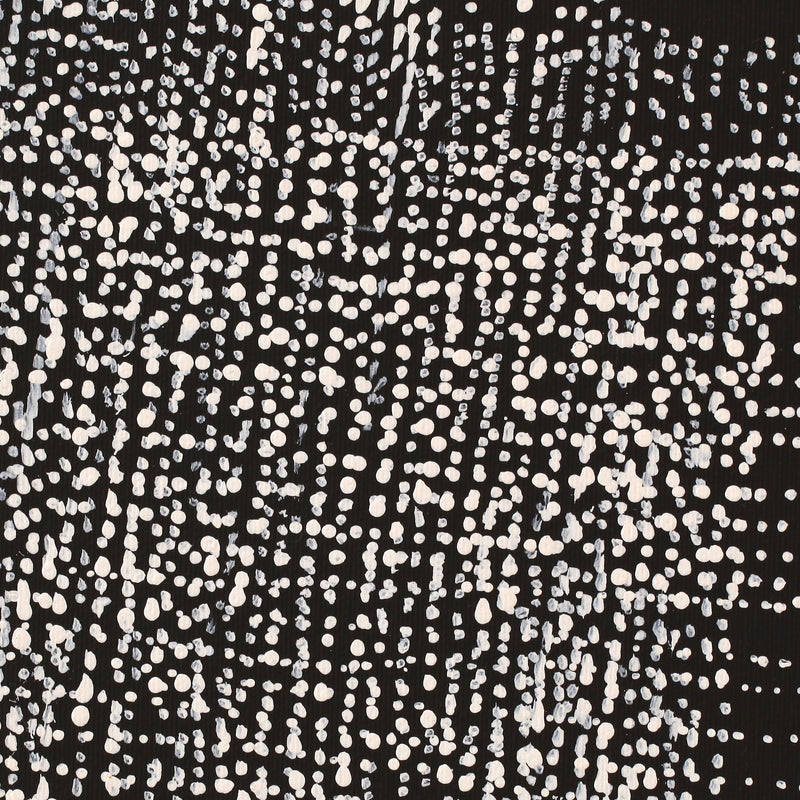 Aboriginal Artwork by Julie Nangala Robertson, Mina Mina Jukurrpa (Mina Mina Dreaming) - Ngalyipi, 30x30cm