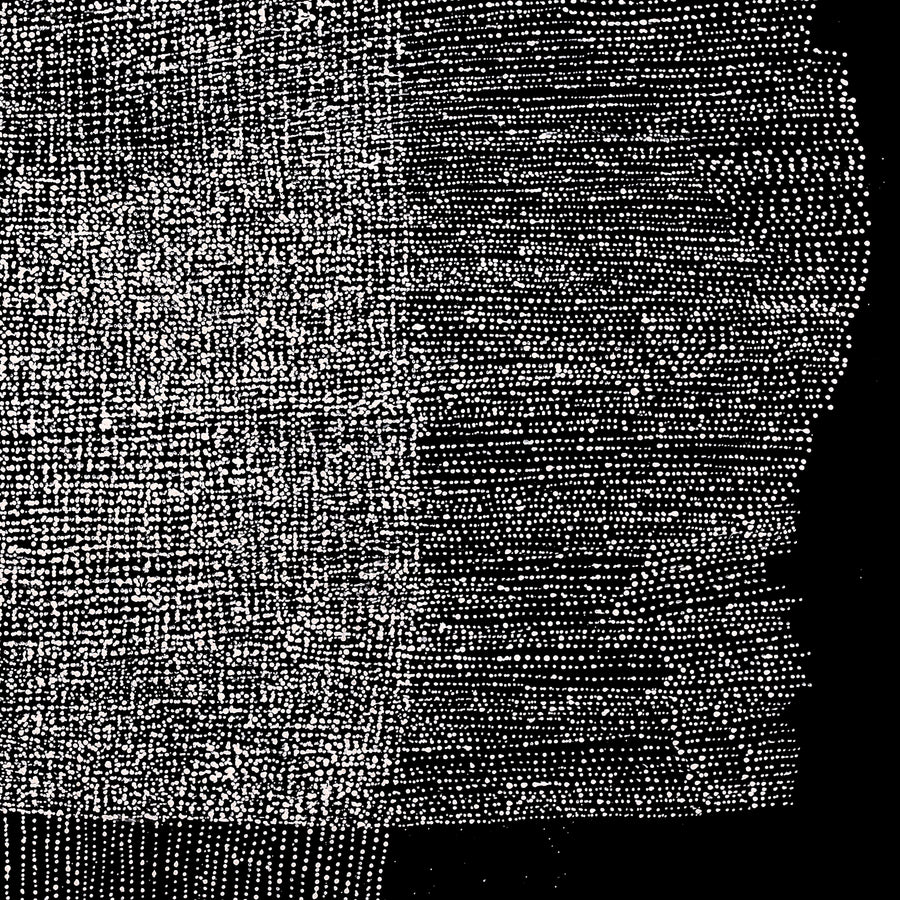 Aboriginal Artwork by Julie Nangala Robertson, Mina Mina Jukurrpa, 152x152cm