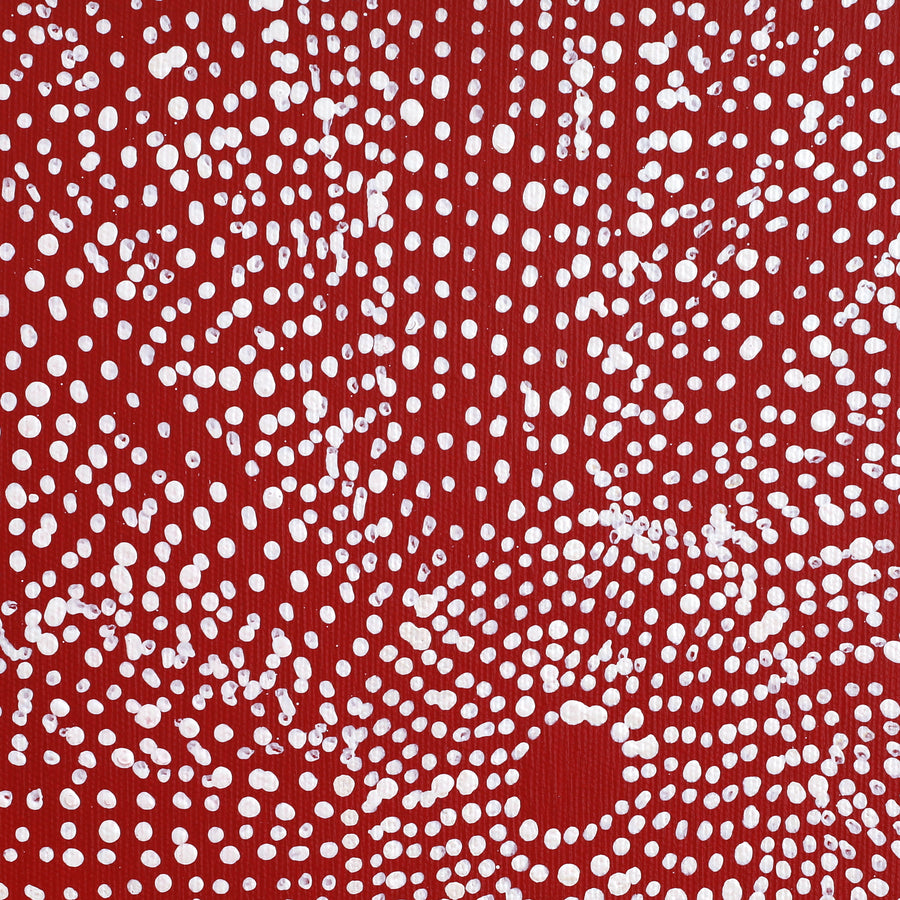 Aboriginal Artwork by Julie Nangala Robertson, Ngapa Jukurrpa (Water Dreaming) - Pirlinyarnu, 30x30cm