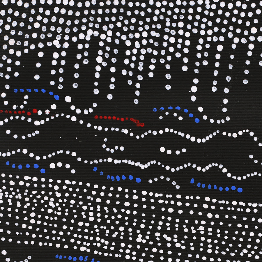 Aboriginal Artwork by Julie Nangala Robertson, Ngapa Jukurrpa (Water Dreaming) - Pirlinyarnu, 30x30cm