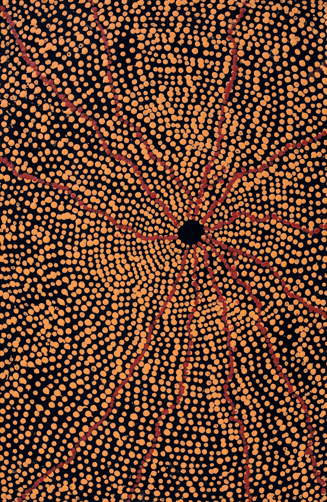 Aboriginal Artwork by Julie Nangala Robertson, Ngapa Jukurrpa (Water Dreaming) - Pirlinyarnu, 46x30cm