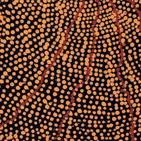 Aboriginal Artwork by Julie Nangala Robertson, Ngapa Jukurrpa (Water Dreaming) - Pirlinyarnu, 46x30cm