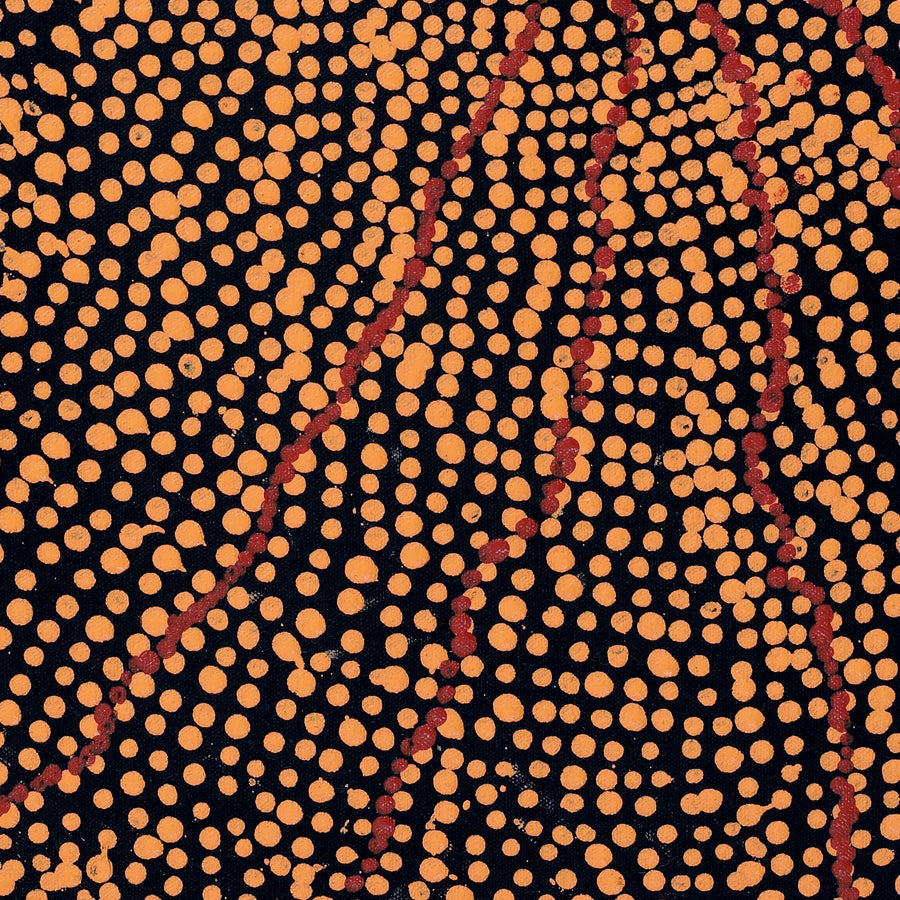 Aboriginal Artwork by Julie Nangala Robertson, Ngapa Jukurrpa (Water Dreaming) - Pirlinyarnu, 46x30cm