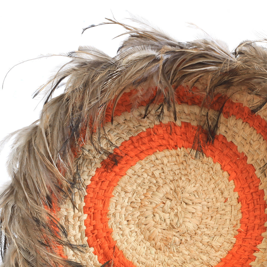 Aboriginal Artwork by Julie Anderson, Finke - Tjanpi Basket