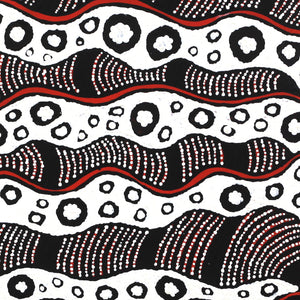 Aboriginal Artwork by Julie Napaljarri Dempsey, Pikilyi Jukurrpa (Vaughn Springs Dreaming), 30x30cm - ART ARK®