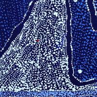 Aboriginal Artwork by Julie Nangala Robertson, Ngapa Jukurrpa (Water Dreaming) - Pirlinyarnu, 30x30cm