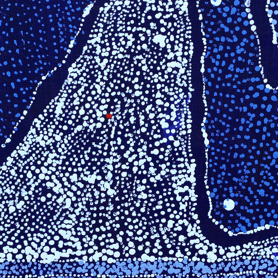 Aboriginal Artwork by Julie Nangala Robertson, Ngapa Jukurrpa (Water Dreaming) - Pirlinyarnu, 30x30cm