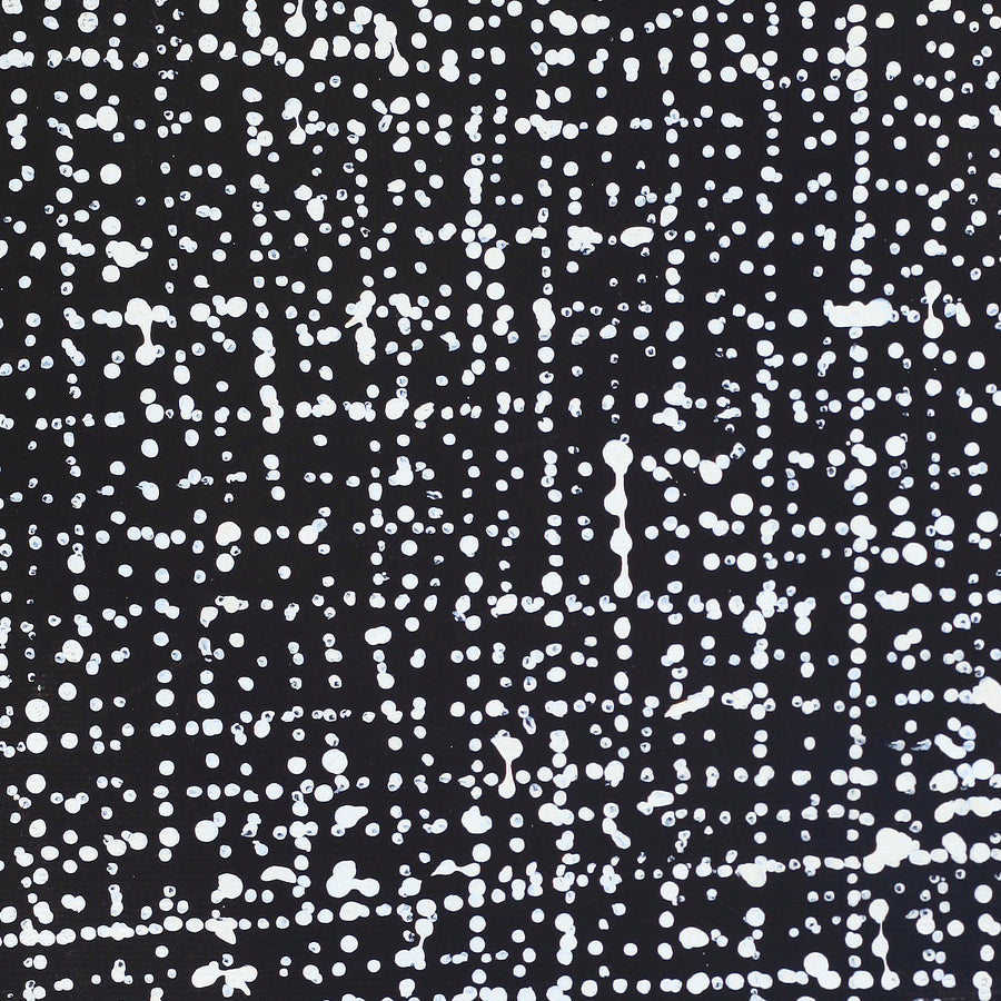 Aboriginal Artwork by Julie Nangala Robertson, Ngapa Jukurrpa (Water Dreaming) - Pirlinyarnu, 30x30cm