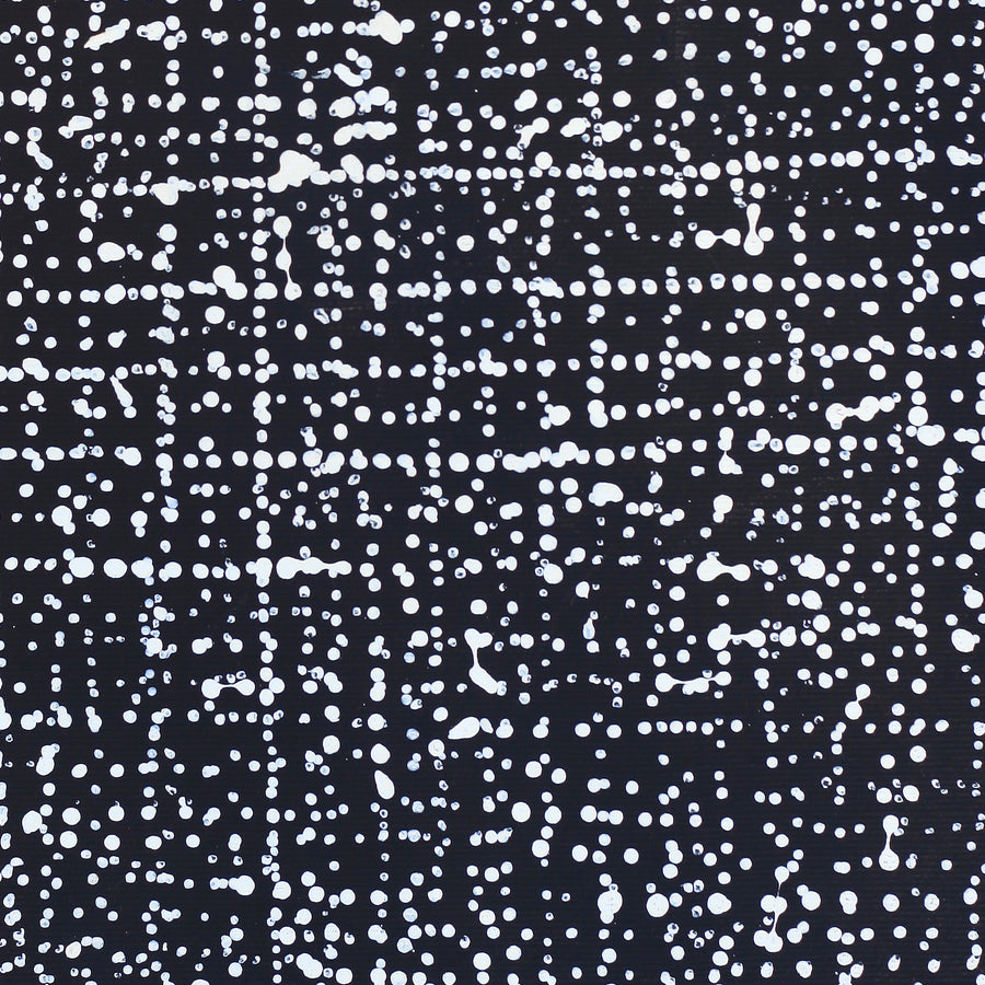 Aboriginal Artwork by Julie Nangala Robertson, Ngapa Jukurrpa (Water Dreaming) - Pirlinyarnu, 30x30cm