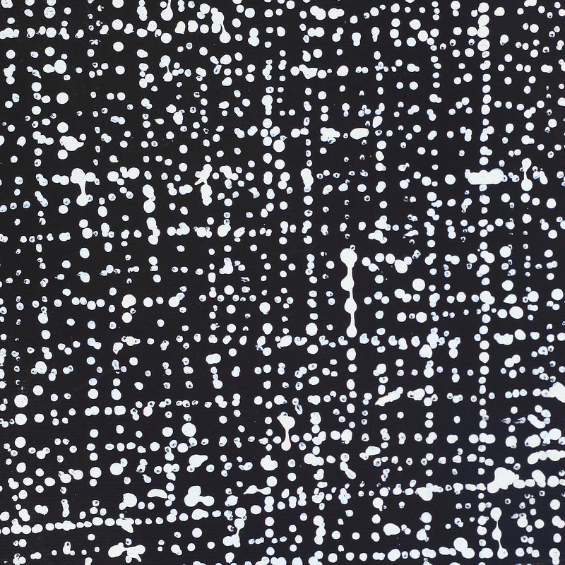 Aboriginal Artwork by Julie Nangala Robertson, Ngapa Jukurrpa (Water Dreaming) - Pirlinyarnu, 30x30cm