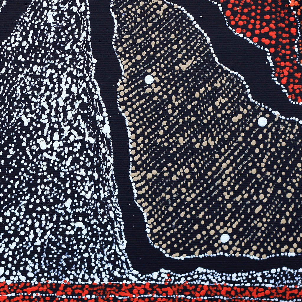 Aboriginal Artwork by Julie Nangala Robertson, Ngapa Jukurrpa (Water Dreaming) - Pirlinyarnu, 30x30cm