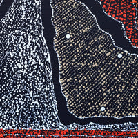 Aboriginal Artwork by Julie Nangala Robertson, Ngapa Jukurrpa (Water Dreaming) - Pirlinyarnu, 30x30cm