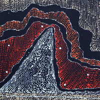 Aboriginal Artwork by Julie Nangala Robertson, Ngapa Jukurrpa (Water Dreaming) - Pirlinyarnu, 30x30cm