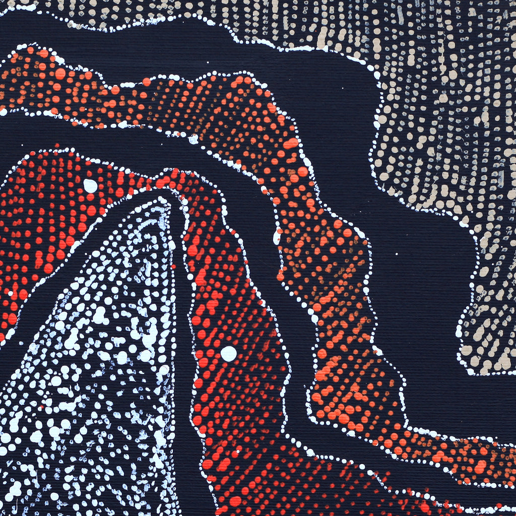 Aboriginal Artwork by Julie Nangala Robertson, Ngapa Jukurrpa (Water Dreaming) - Pirlinyarnu, 30x30cm