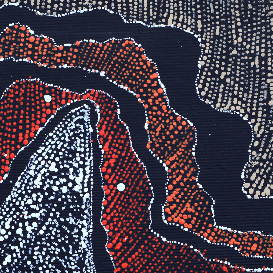 Aboriginal Artwork by Julie Nangala Robertson, Ngapa Jukurrpa (Water Dreaming) - Pirlinyarnu, 30x30cm