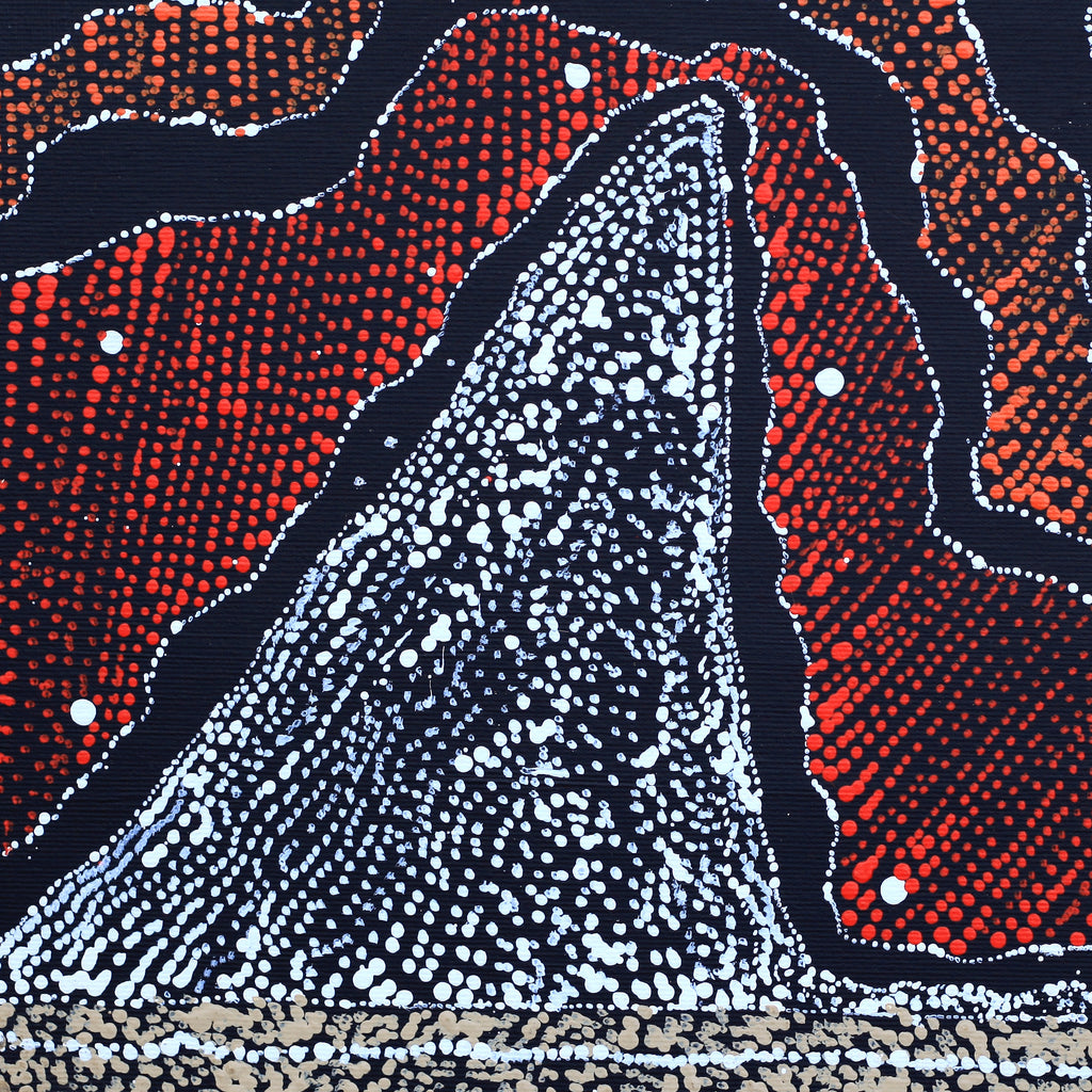 Aboriginal Artwork by Julie Nangala Robertson, Ngapa Jukurrpa (Water Dreaming) - Pirlinyarnu, 30x30cm