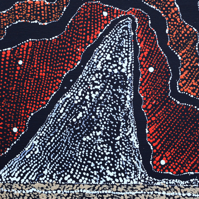 Aboriginal Artwork by Julie Nangala Robertson, Ngapa Jukurrpa (Water Dreaming) - Pirlinyarnu, 30x30cm