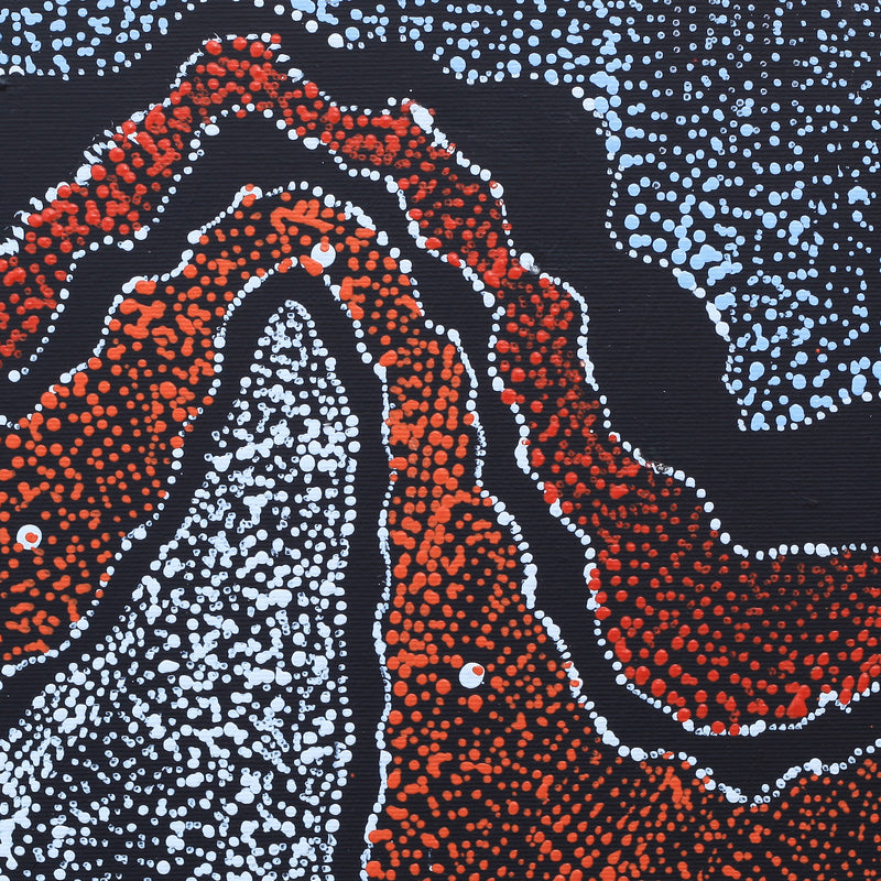 Aboriginal Artwork by Julie Nangala Robertson, Ngapa Jukurrpa (Water Dreaming) - Pirlinyarnu, 30x30cm
