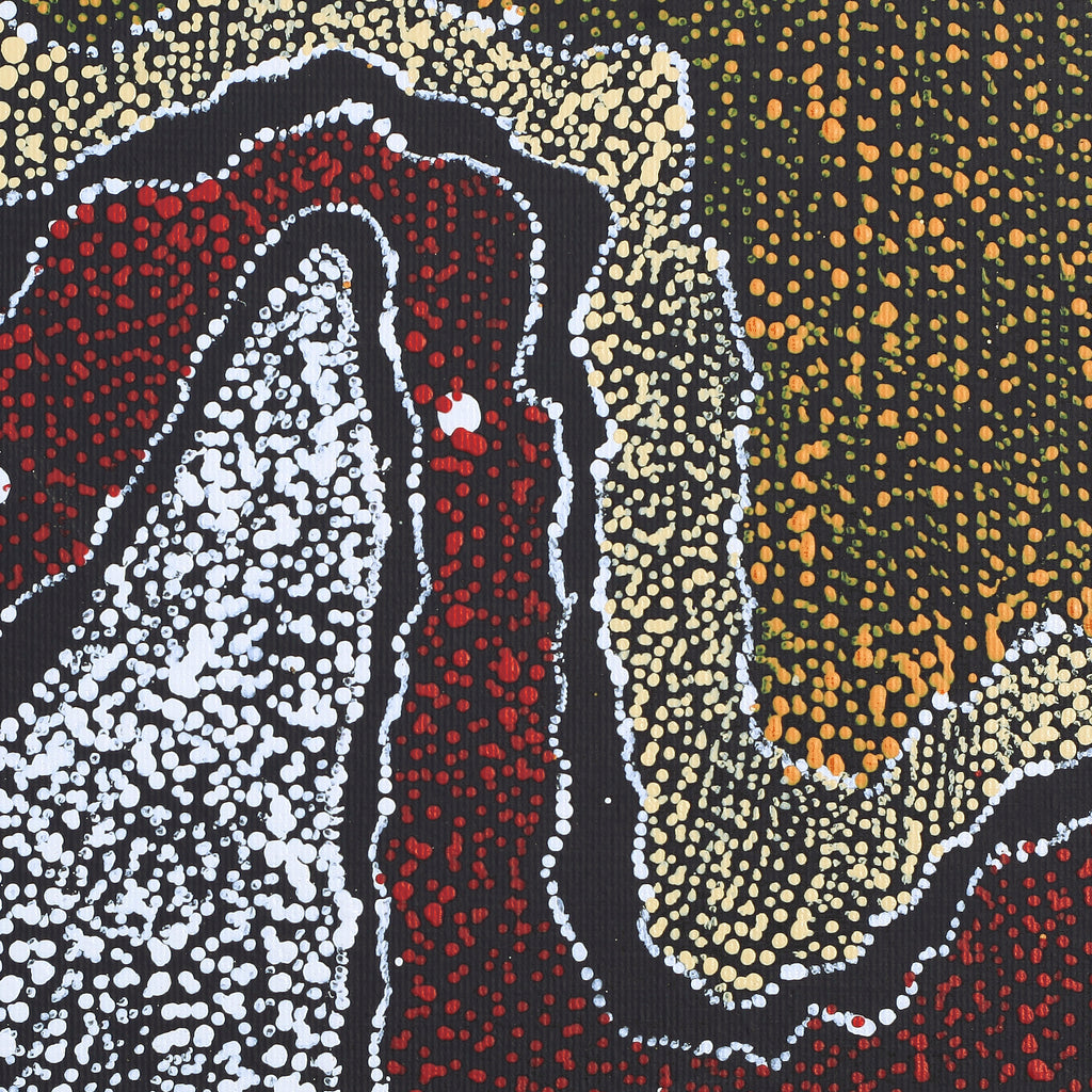 Aboriginal Artwork by Julie Nangala Robertson, Ngapa Jukurrpa (Water Dreaming) - Pirlinyarnu, 30x30cm