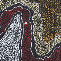 Aboriginal Artwork by Julie Nangala Robertson, Ngapa Jukurrpa (Water Dreaming) - Pirlinyarnu, 30x30cm