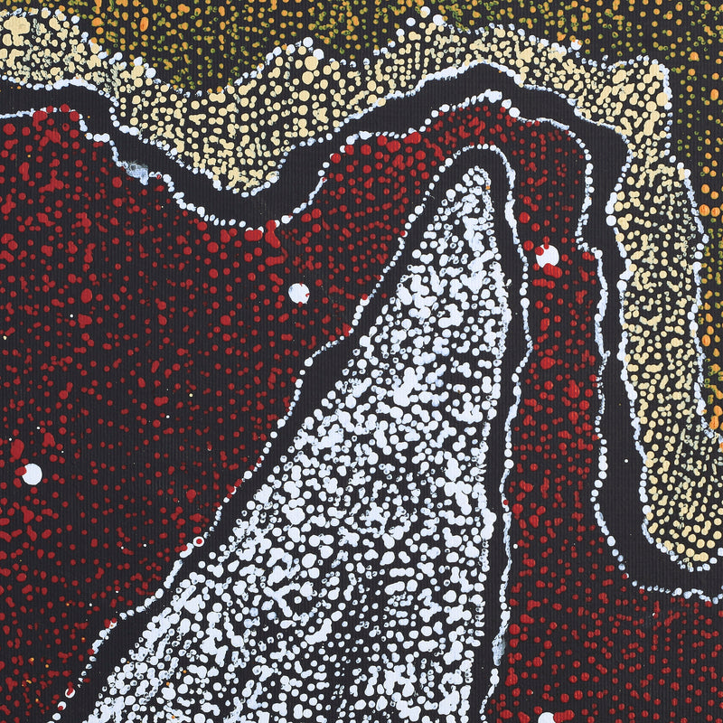 Aboriginal Artwork by Julie Nangala Robertson, Ngapa Jukurrpa (Water Dreaming) - Pirlinyarnu, 30x30cm