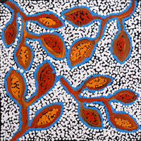 Aboriginal Art by Juliette Nampijinpa Brown, Ngapa Jukurrpa (Water Dreaming) - Mikanji, 30x30cm - ART ARK®