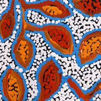 Aboriginal Artwork by Juliette Nampijinpa Brown, Ngapa Jukurrpa (Water Dreaming) - Mikanji, 30x30cm
