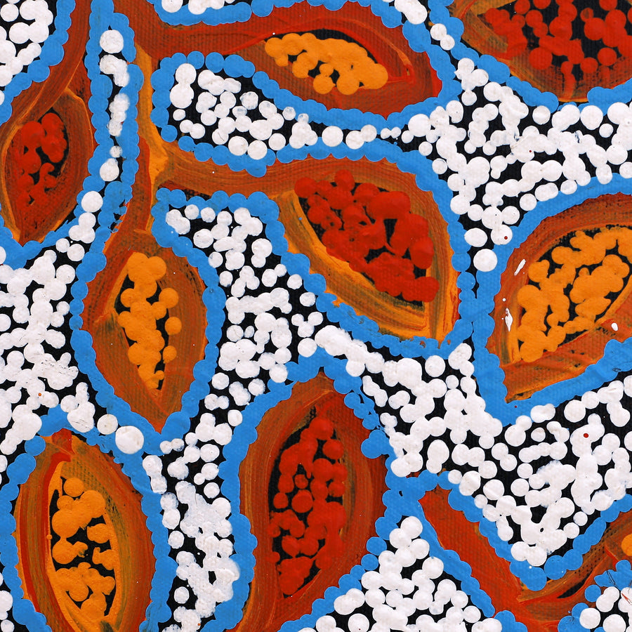 Aboriginal Artwork by Juliette Nampijinpa Brown, Ngapa Jukurrpa (Water Dreaming) - Mikanji, 30x30cm