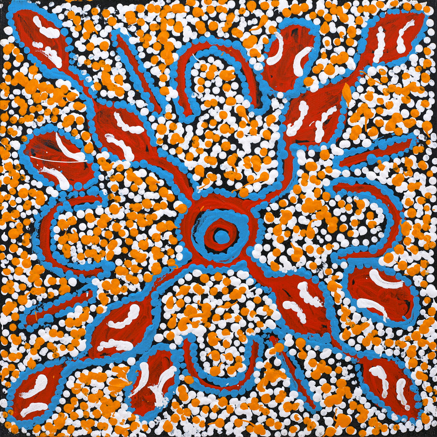 Aboriginal Artwork by Juliette Nampijinpa Brown, Ngapa Jukurrpa (Water Dreaming) - Mikanji, 30x30cm