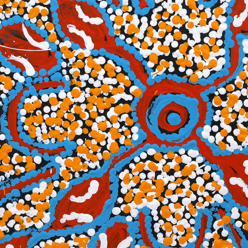 Aboriginal Artwork by Juliette Nampijinpa Brown, Ngapa Jukurrpa (Water Dreaming) - Mikanji, 30x30cm