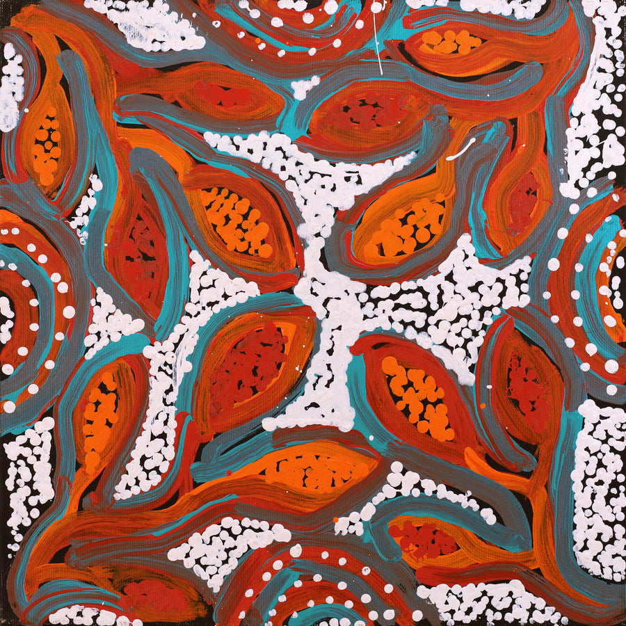Aboriginal Artwork by Juliette Nampijinpa Brown, Ngapa Jukurrpa (Water Dreaming) - Mikanji, 30x30cm