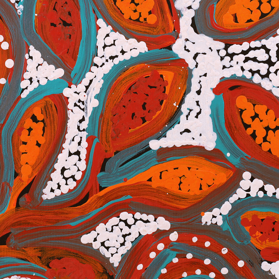 Aboriginal Artwork by Juliette Nampijinpa Brown, Ngapa Jukurrpa (Water Dreaming) - Mikanji, 30x30cm