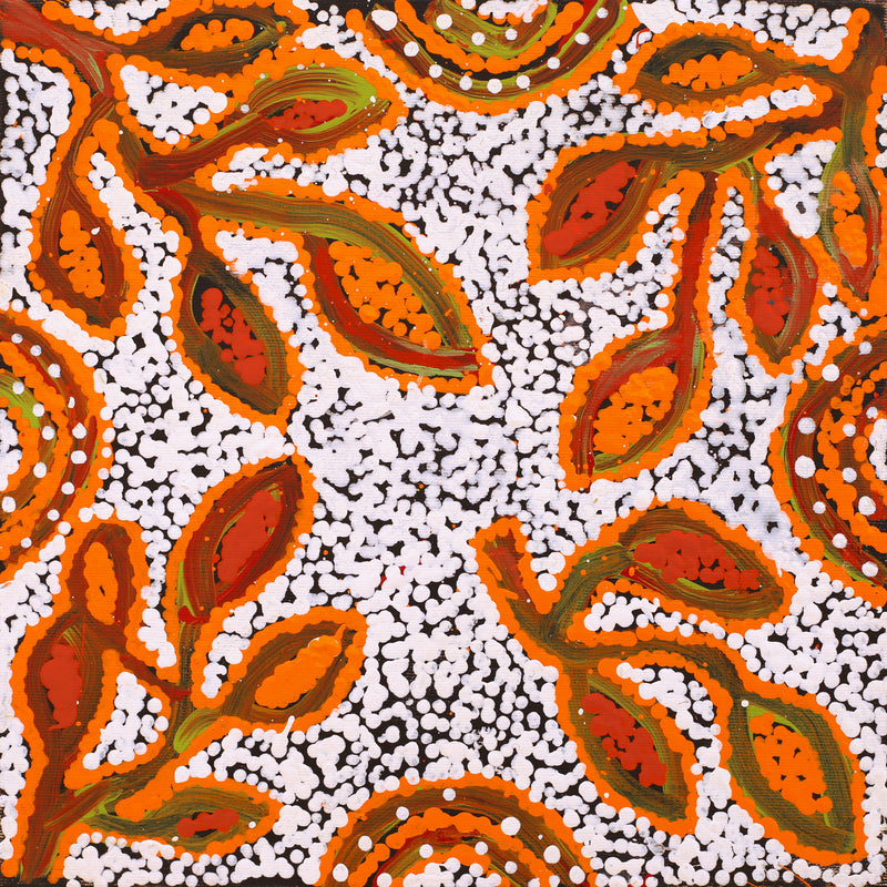 Aboriginal Artwork by Juliette Nampijinpa Brown, Ngapa Jukurrpa (Water Dreaming) - Mikanji, 30x30cm