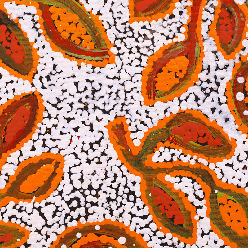 Aboriginal Artwork by Juliette Nampijinpa Brown, Ngapa Jukurrpa (Water Dreaming) - Mikanji, 30x30cm