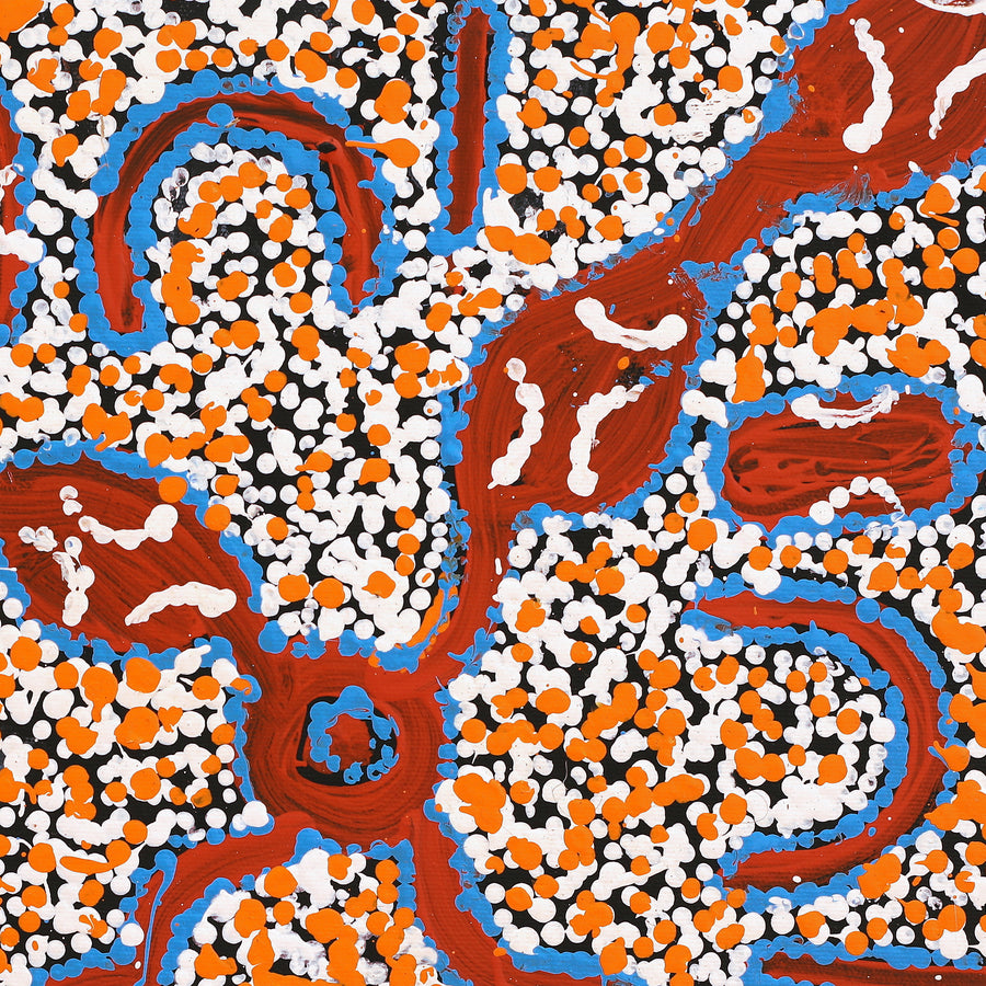 Aboriginal Artwork by Juliette Nampijinpa Brown, Ngapa Jukurrpa (Water Dreaming) - Mikanji, 40x40cm