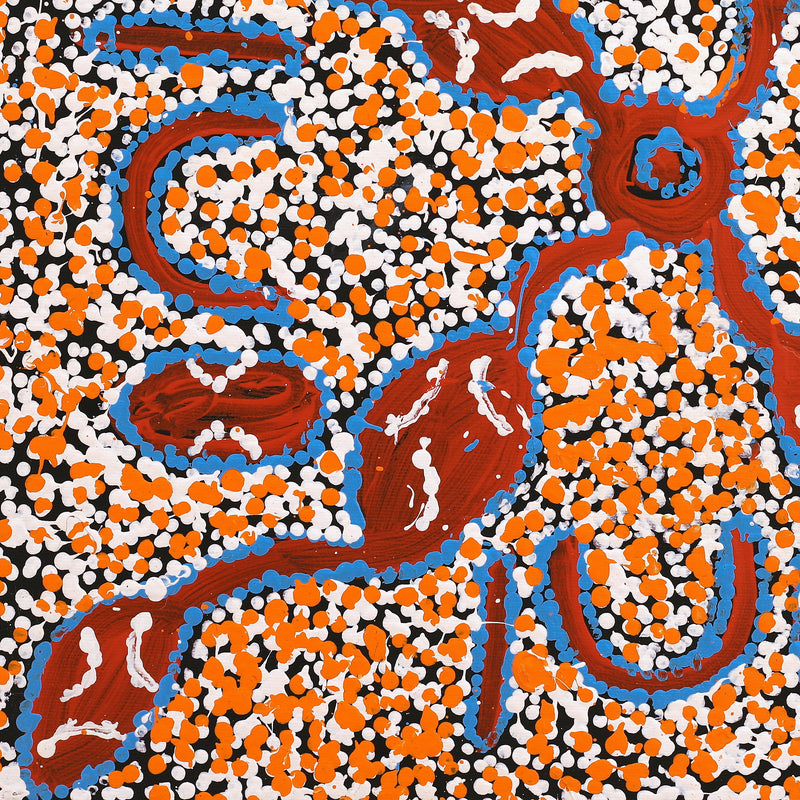 Aboriginal Artwork by Juliette Nampijinpa Brown, Ngapa Jukurrpa (Water Dreaming) - Mikanji, 40x40cm
