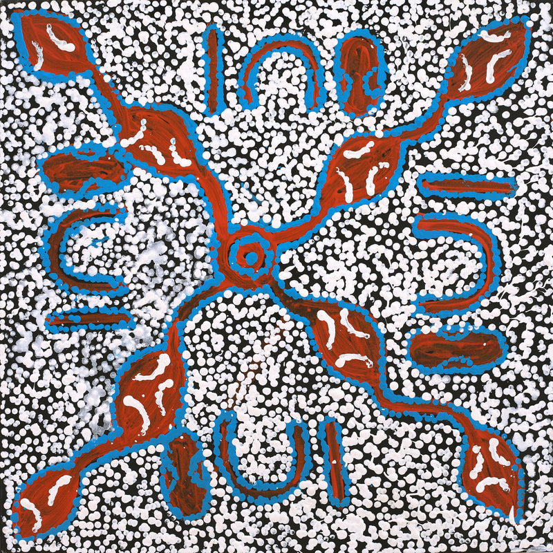 Aboriginal Artwork by Juliette Nampijinpa Brown, Ngapa Jukurrpa (Water Dreaming) - Mikanji, 40x40cm