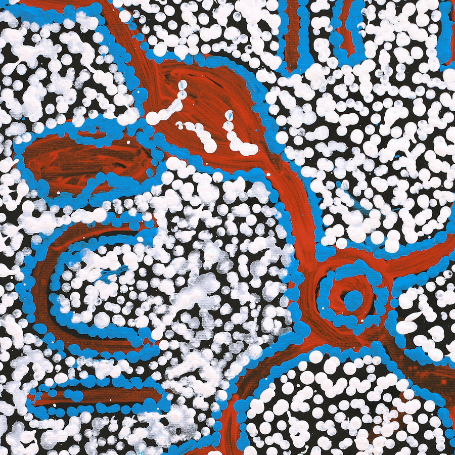 Aboriginal Artwork by Juliette Nampijinpa Brown, Ngapa Jukurrpa (Water Dreaming) - Mikanji, 40x40cm
