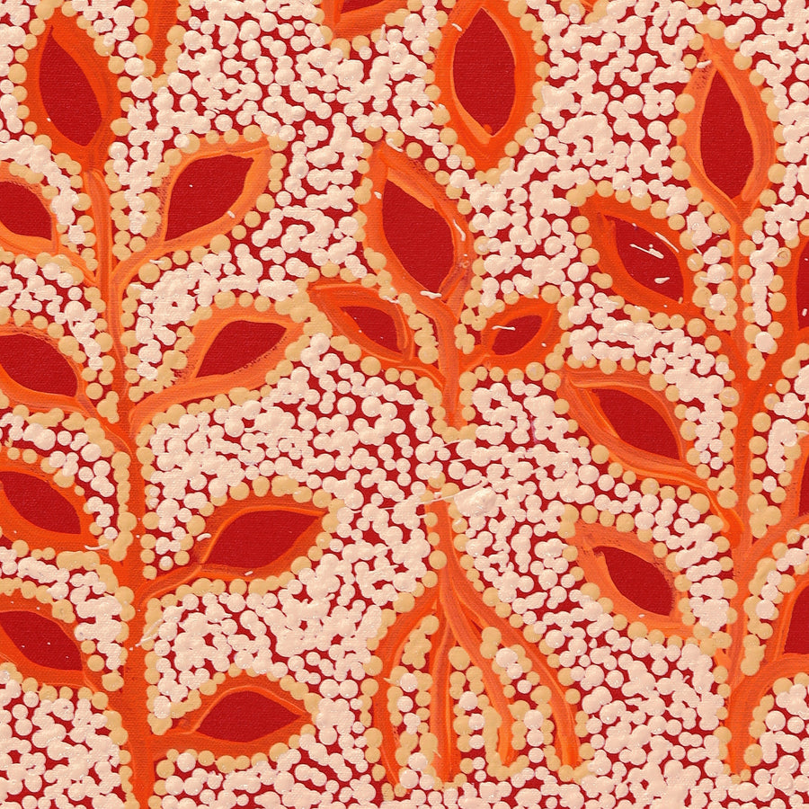 Aboriginal Artwork by Juliette Nampijinpa Brown, Ngapa Jukurrpa (Water Dreaming) - Mikanji, 61x30cm