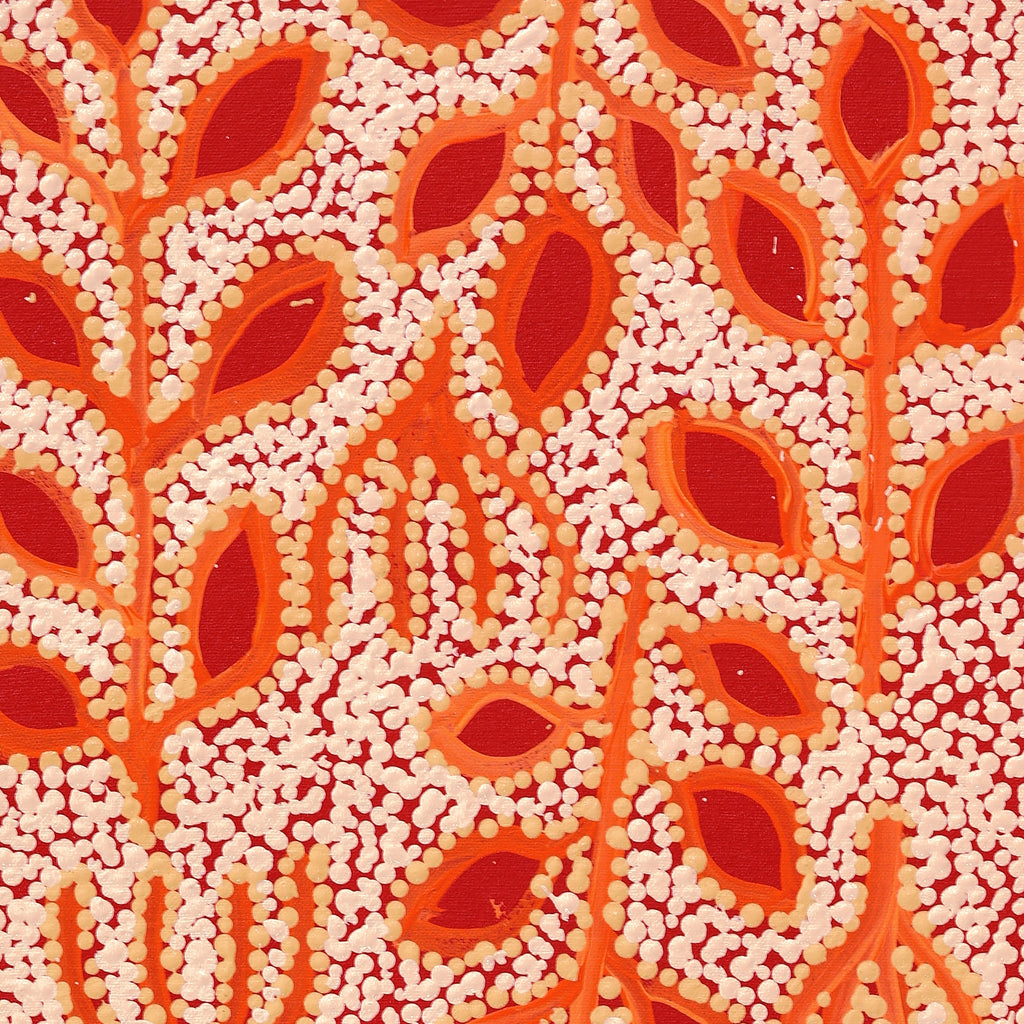 Aboriginal Artwork by Juliette Nampijinpa Brown, Ngapa Jukurrpa (Water Dreaming) - Mikanji, 61x30cm