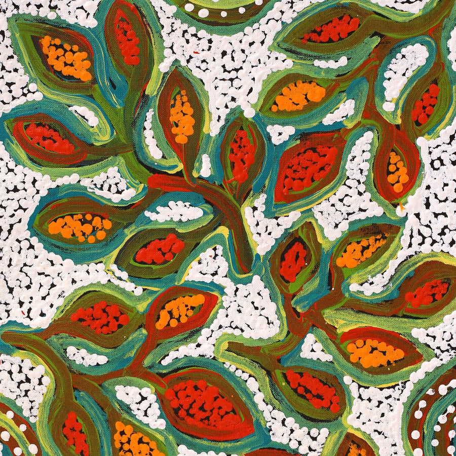 Aboriginal Artwork by Juliette Nampijinpa Brown, Ngapa Jukurrpa (Water Dreaming) - Mikanji, 61x30cm