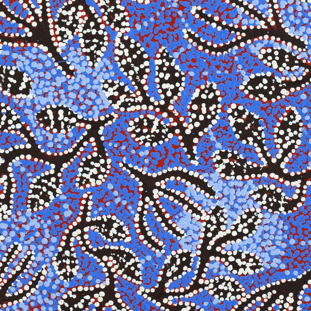 Aboriginal Artwork by Juliette Nampijinpa Brown, Ngapa Jukurrpa (Water Dreaming) - Mikanji, 76x46cm