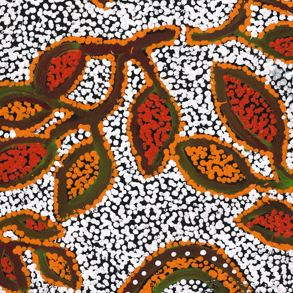 Aboriginal Artwork by Juliette Nampijinpa Brown, Ngapa Jukurrpa (Water Dreaming) - Mikanji, 76x46cm