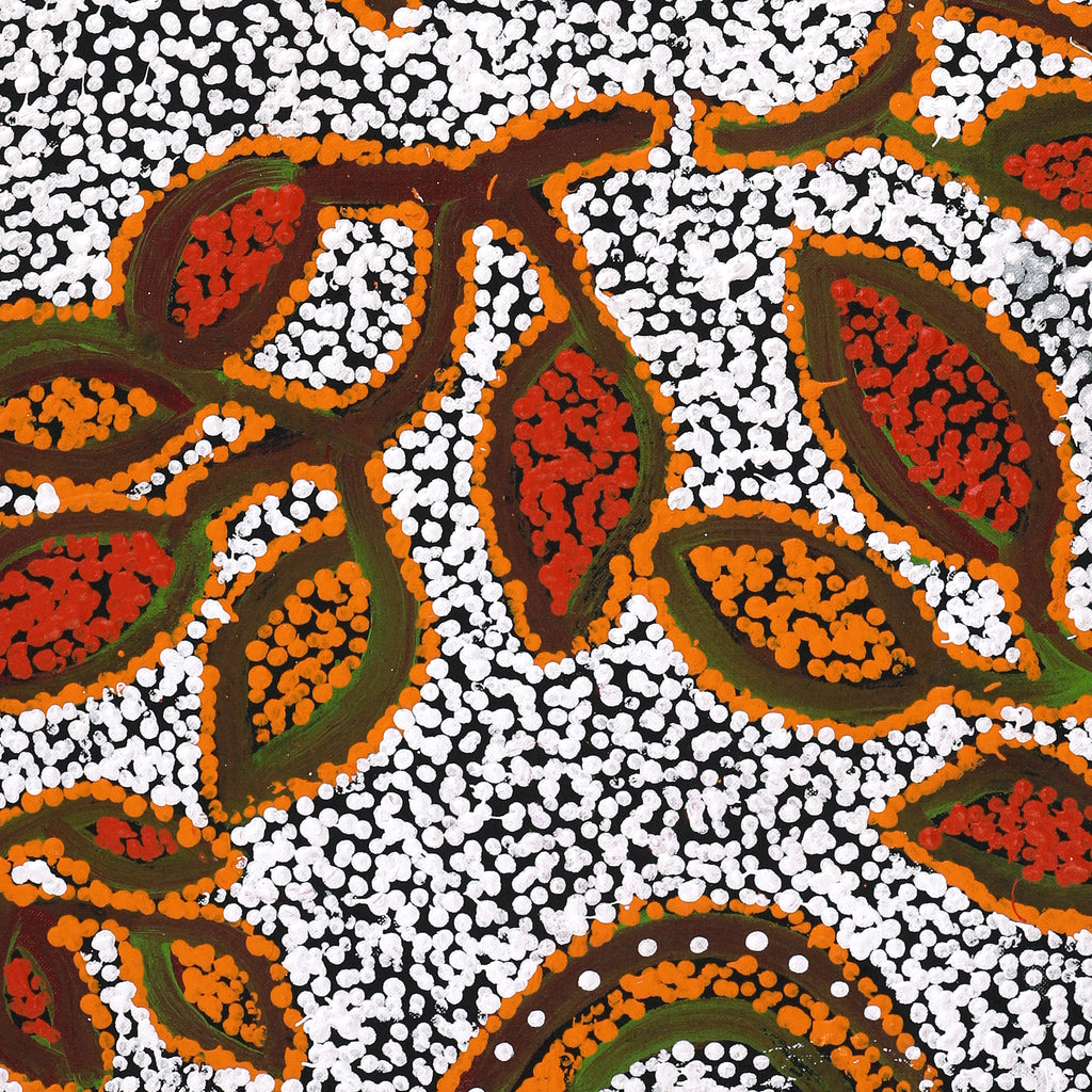 Aboriginal Artwork by Juliette Nampijinpa Brown, Ngapa Jukurrpa (Water Dreaming) - Mikanji, 76x46cm - ART ARK®