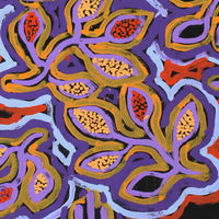 Aboriginal Artwork by Juliette Nampijinpa Brown, Ngapa Jukurrpa (Water Dreaming) - Mikanji, 76x46cm