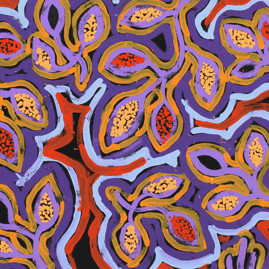 Aboriginal Artwork by Juliette Nampijinpa Brown, Ngapa Jukurrpa (Water Dreaming) - Mikanji, 76x46cm